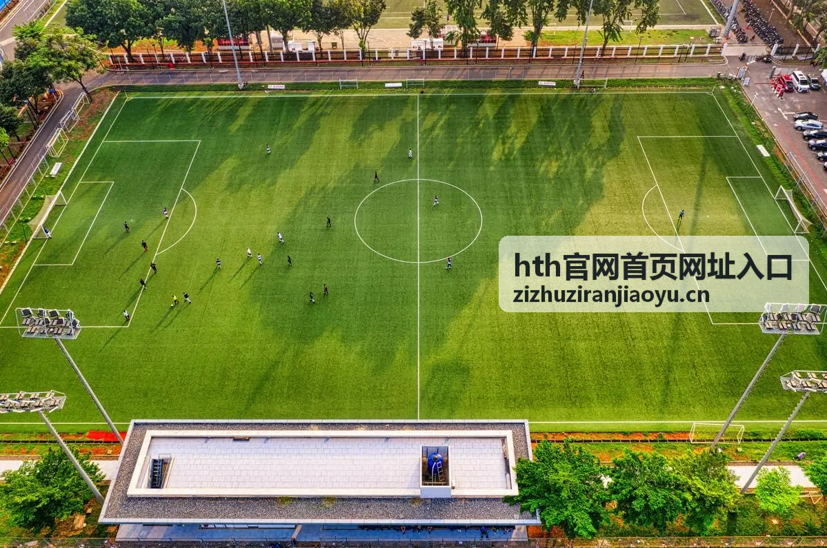 hth官网首页网址入口在多人协作场景下的使用示意